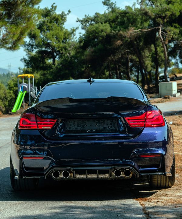 Roof Spoiler compatible with BMW M4 F82 2014-2021