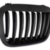 b2b central grilles kidney grilles 3 series suitable 4987182 6012830.jpg
