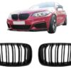 b2b central kidney grilles suitable for bmw 2 series 5999290 6059346.jpg