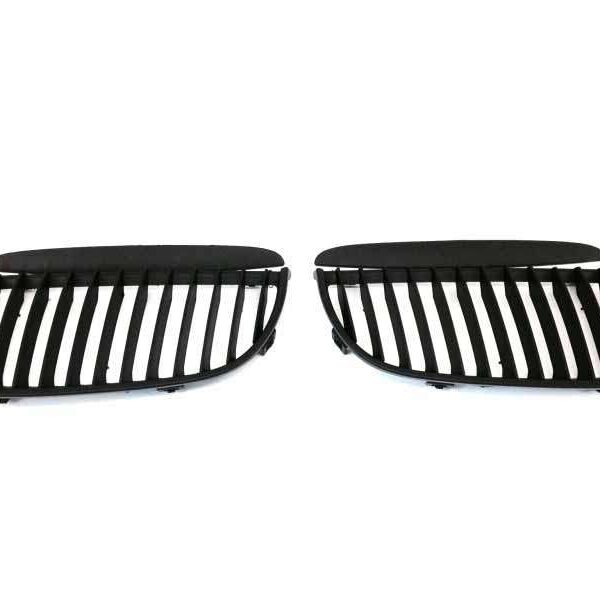 b2b central kidney grilles suitable for bmw 3 series 5985704 6023222.jpg