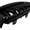 b2b central kidney grilles suitable for bmw 3 series 5999381 6060959.jpg