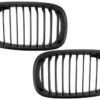 b2b central kidney grilles suitable for bmw 3 series 6000840 6081962.jpg