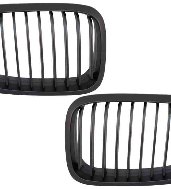 b2b central kidney grilles suitable for bmw 3 series 6000841 6081950.jpg