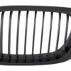 b2b central kidney grilles suitable for bmw 3 series 6000841 6081951.jpg