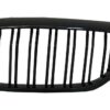 b2b central kidney grilles suitable for bmw 5 series 5996808 6043599.jpg
